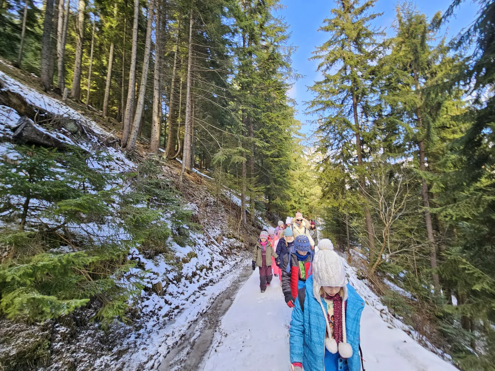 Gyalogtúra a gyimesi hegyekben