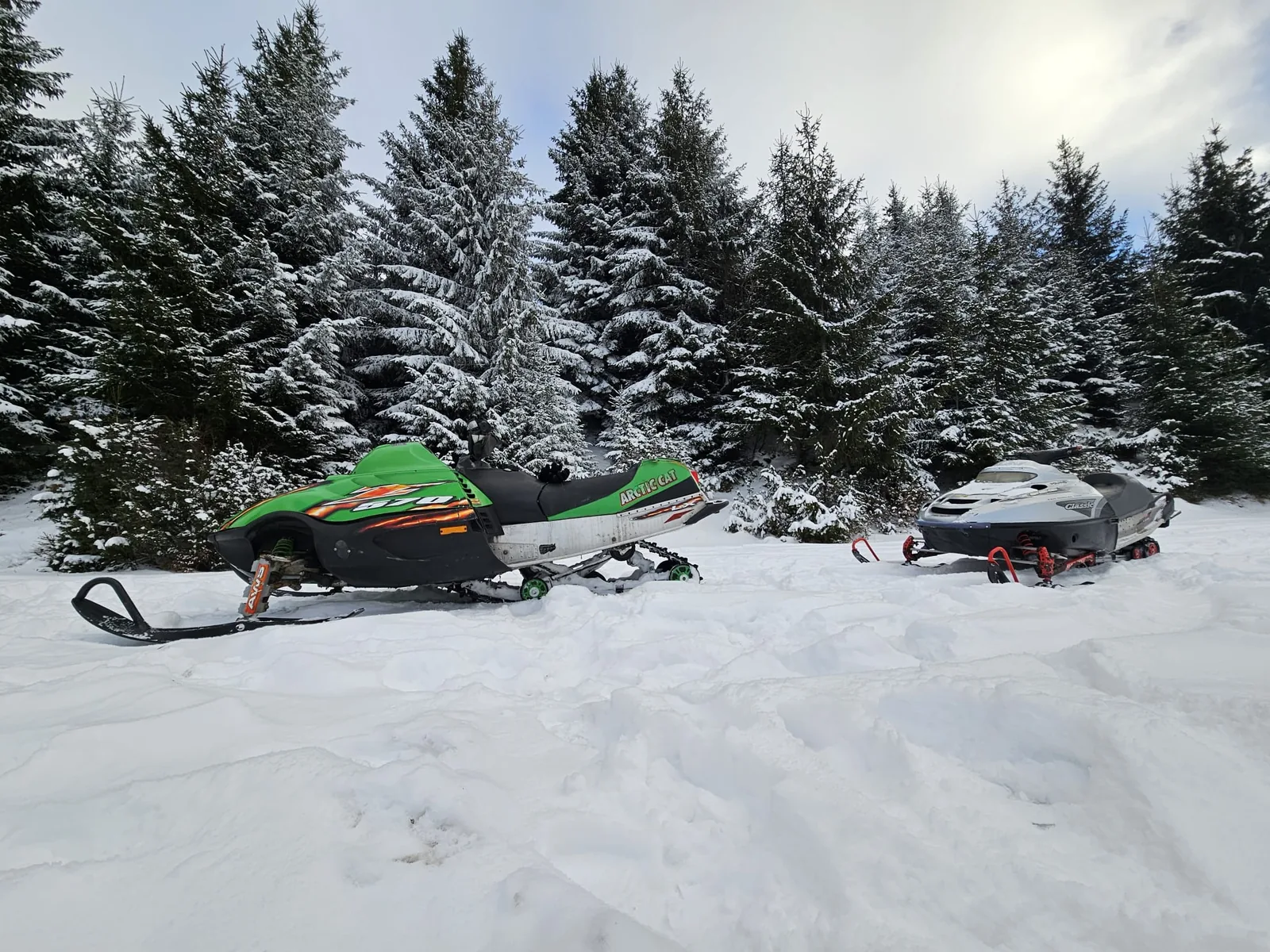 Két motorosszán a hóval borított fenyvesben